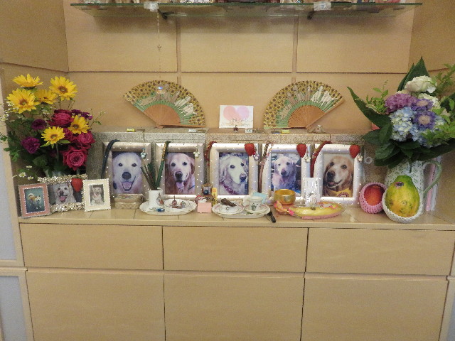 ファイル 5003-2.jpg