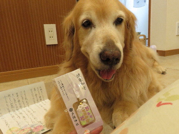 ファイル 5003-4.jpg