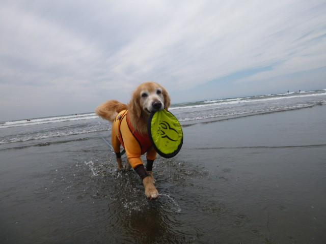 ファイル 5005-5.jpg