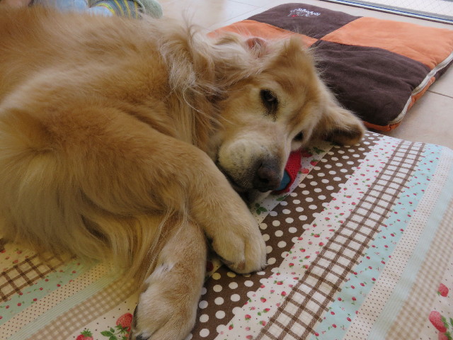 ファイル 5006-3.jpg