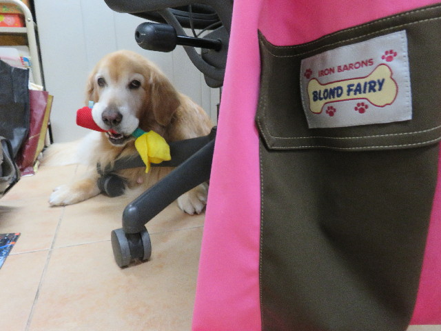 ファイル 5006-5.jpg