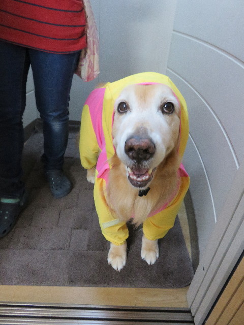 ファイル 5009-3.jpg