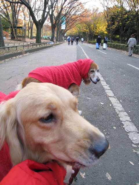 ファイル 501-1.jpg