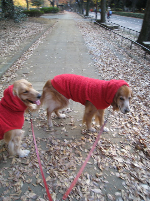 ファイル 501-2.jpg