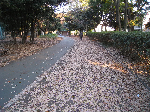 ファイル 501-3.jpg