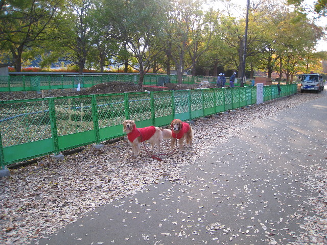 ファイル 501-4.jpg