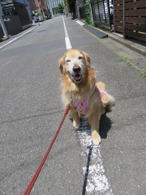 ファイル 5010-1.jpg