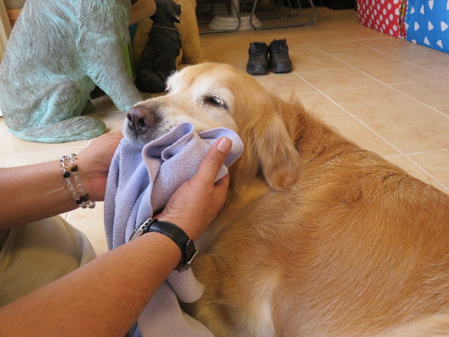 ファイル 5010-4.jpg