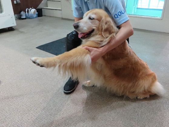 ファイル 5012-2.jpg