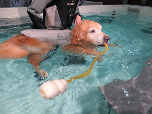 ファイル 5012-3.jpg