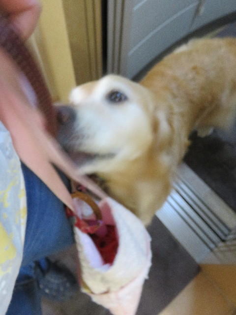 ファイル 5013-4.jpg