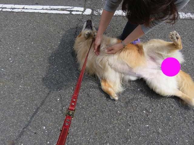 ファイル 5016-1.jpg