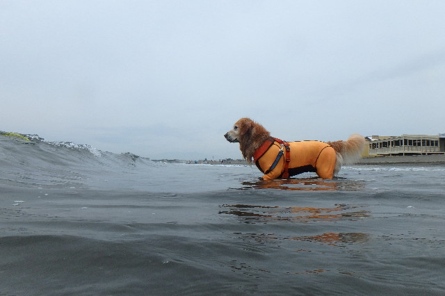 ファイル 5017-4.jpg