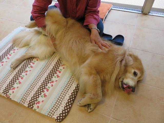 ファイル 5018-1.jpg