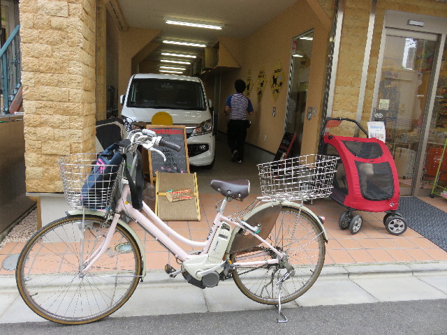 ファイル 5018-3.jpg