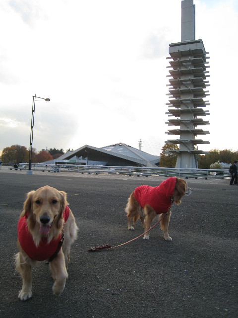 ファイル 502-2.jpg