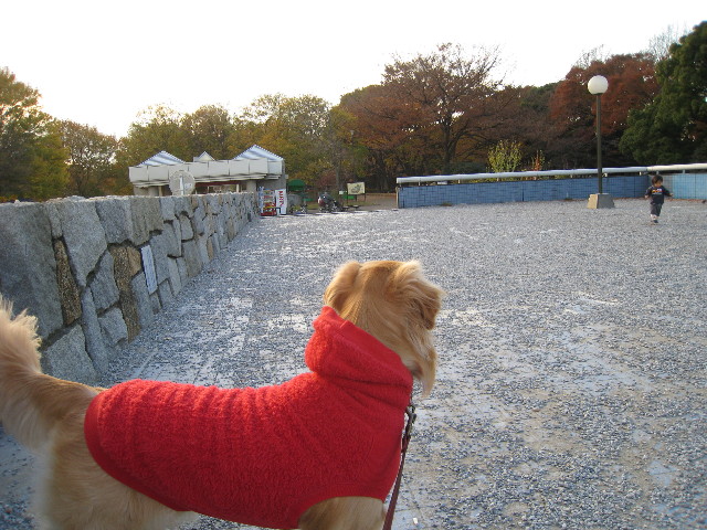 ファイル 502-4.jpg