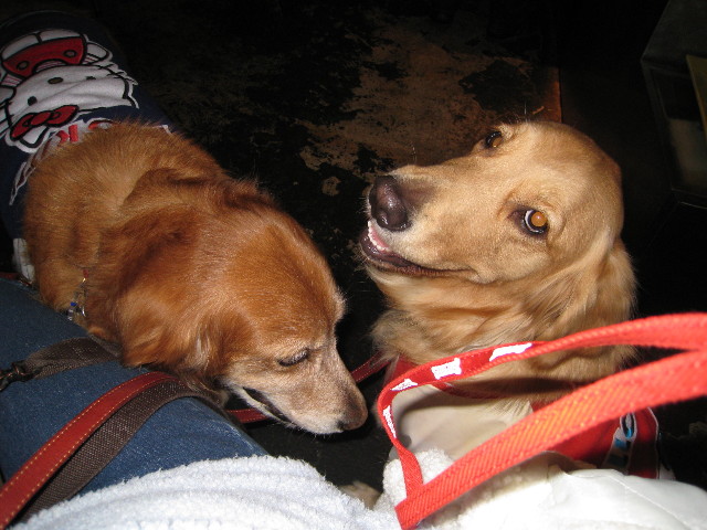 ファイル 502-5.jpg