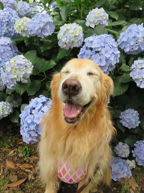 ファイル 5022-1.jpg