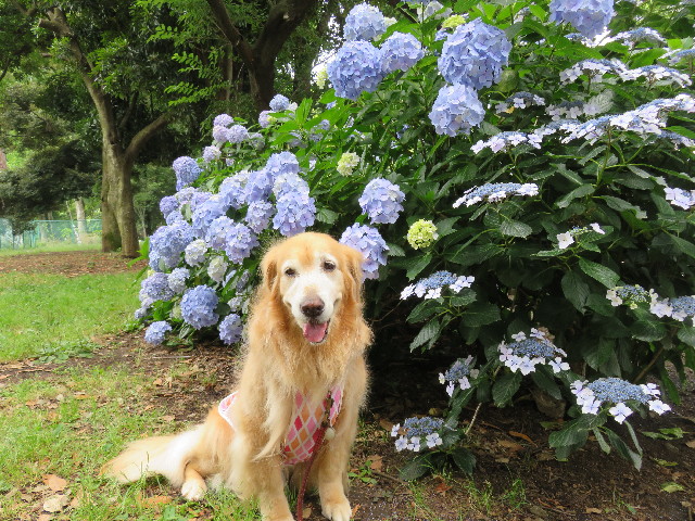 ファイル 5022-2.jpg