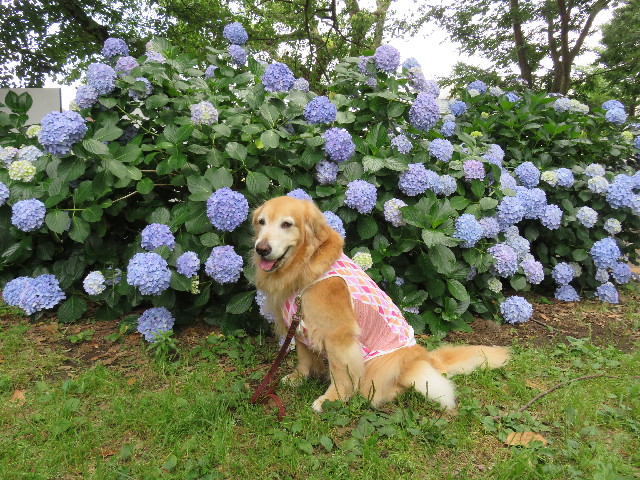 ファイル 5022-3.jpg