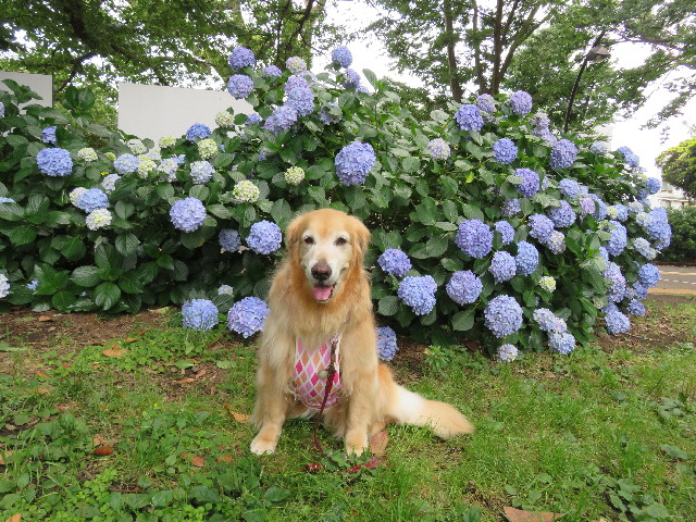 ファイル 5022-4.jpg