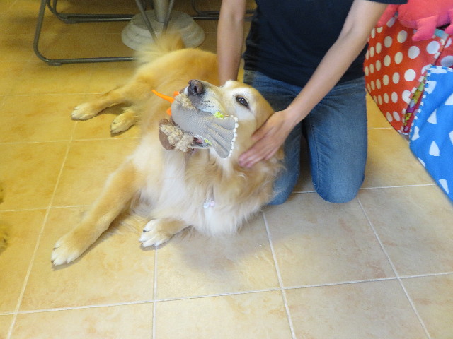 ファイル 5023-1.jpg