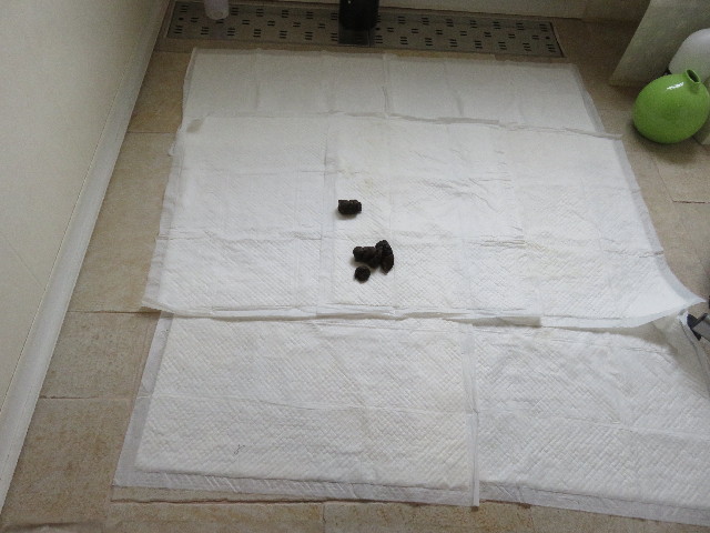 ファイル 5023-2.jpg