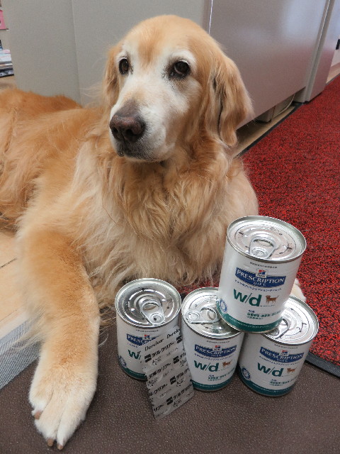 ファイル 5023-3.jpg