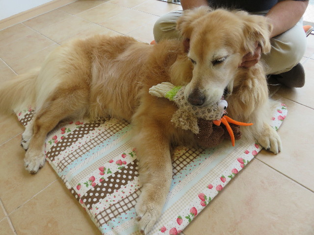 ファイル 5023-4.jpg