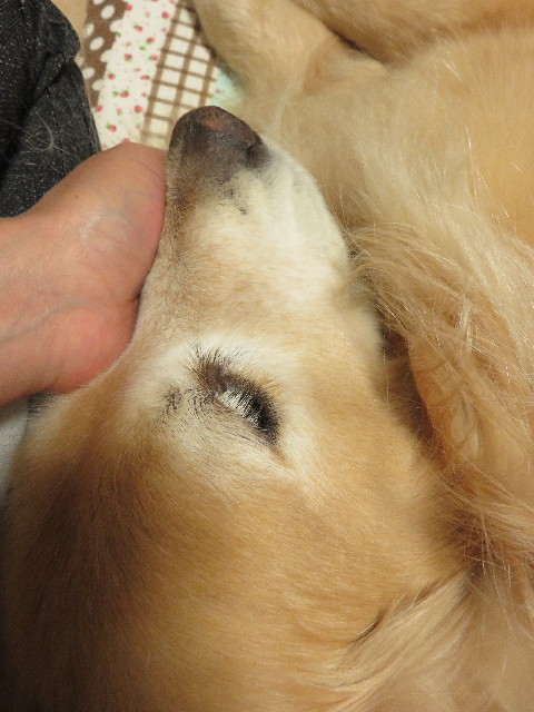 ファイル 5023-5.jpg