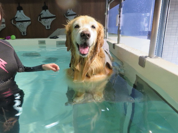 ファイル 5025-1.jpg