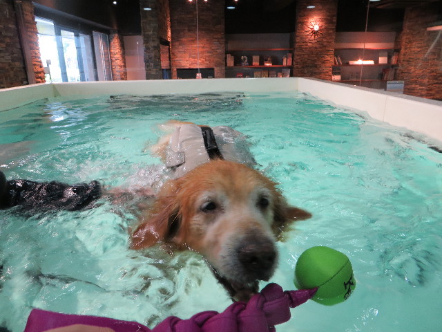 ファイル 5025-5.jpg