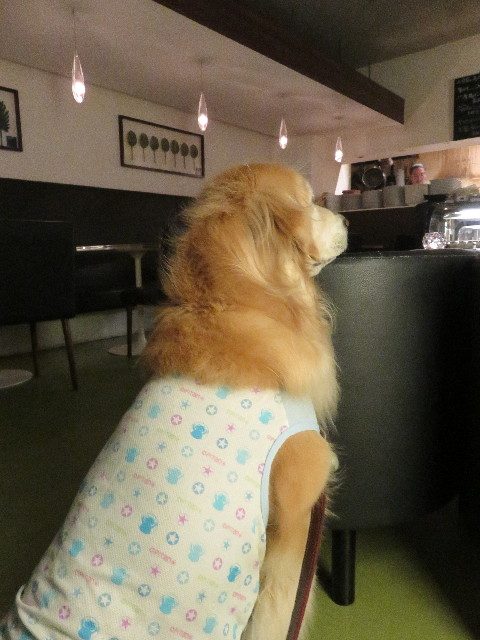 ファイル 5026-2.jpg