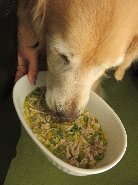 ファイル 5026-4.jpg