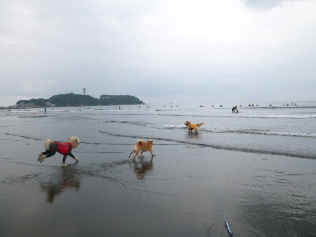 ファイル 5027-3.jpg