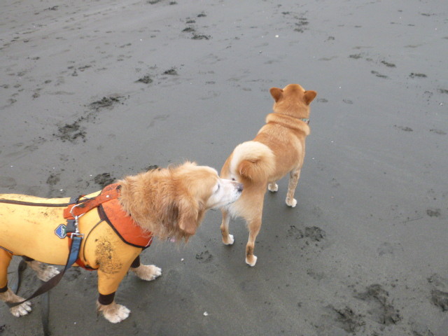 ファイル 5027-4.jpg