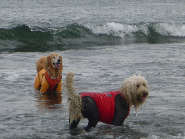 ファイル 5027-5.jpg