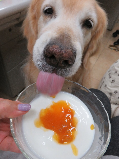 ファイル 5028-5.jpg