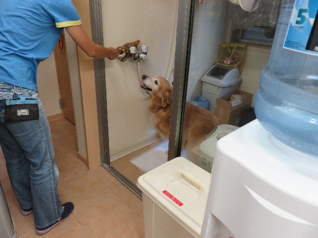 ファイル 5031-4.jpg