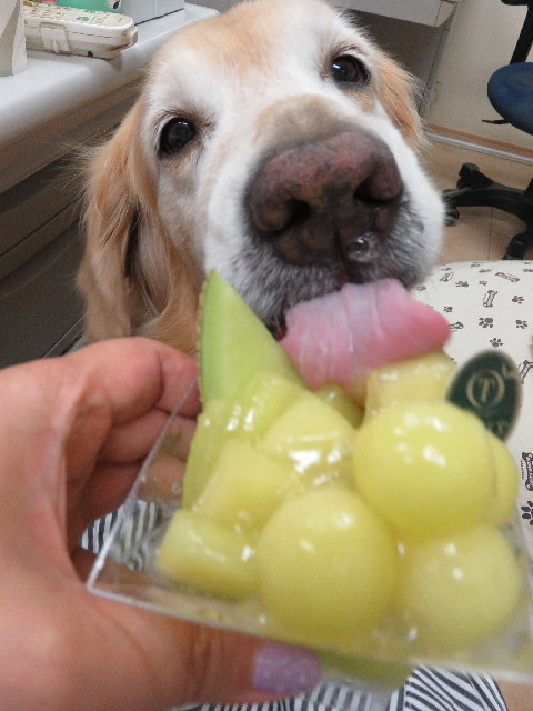 ファイル 5033-2.jpg