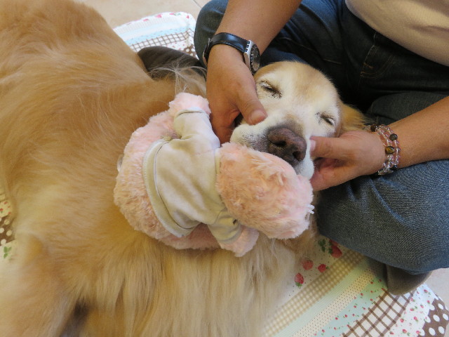 ファイル 5033-5.jpg