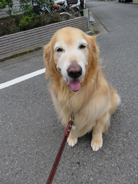 ファイル 5034-1.jpg