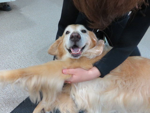 ファイル 5034-3.jpg