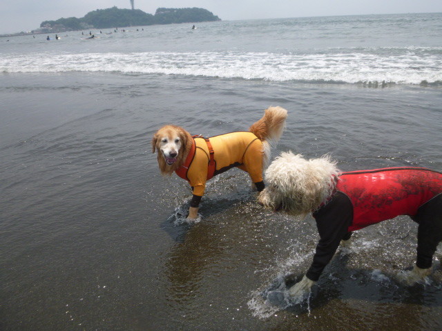 ファイル 5036-3.jpg