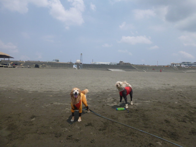 ファイル 5036-5.jpg