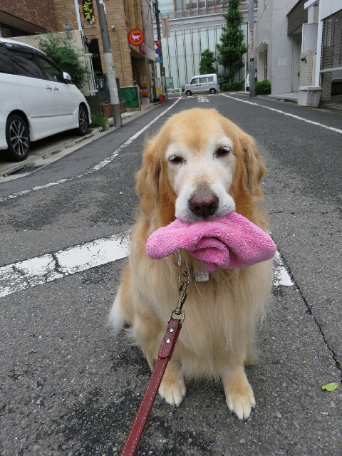 ファイル 5037-1.jpg