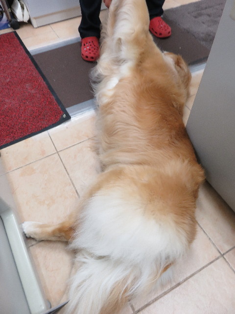 ファイル 5037-4.jpg