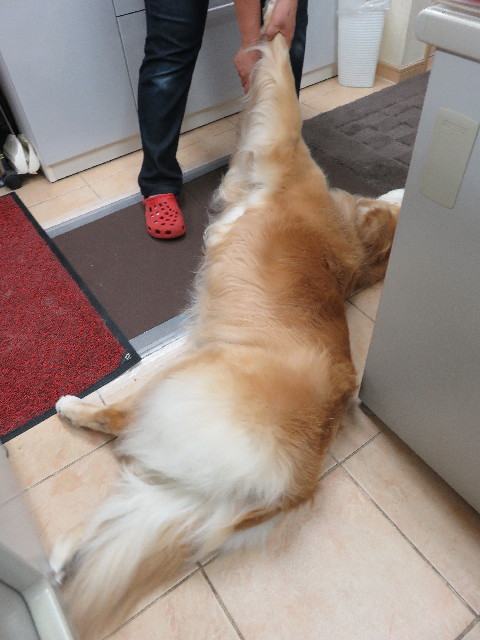 ファイル 5037-5.jpg