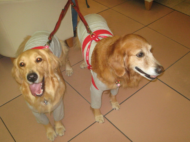 ファイル 504-4.jpg